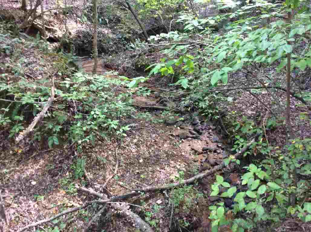 0 Dunklin Bridge Road Pelzer, SC 29669 - Photo 8 of 10