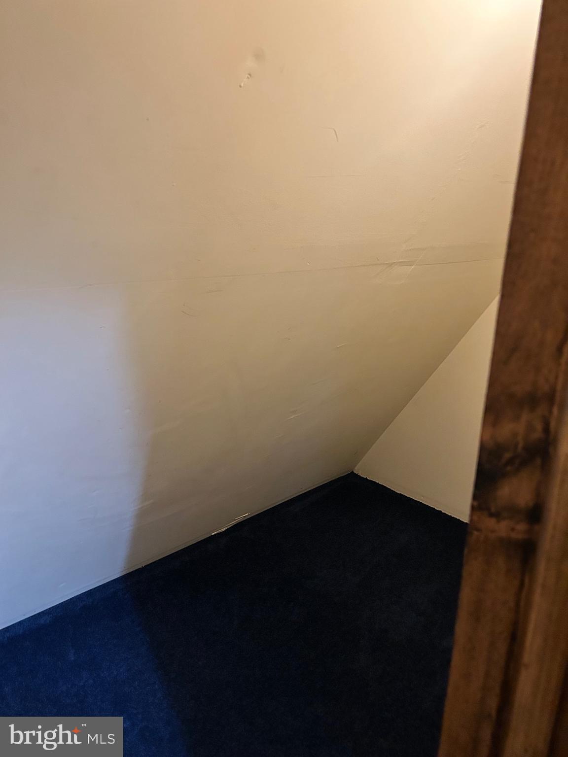 121 Berry Road Andreas, PA 18211 - Photo 24 of 31 Bedroom Closet storage area
