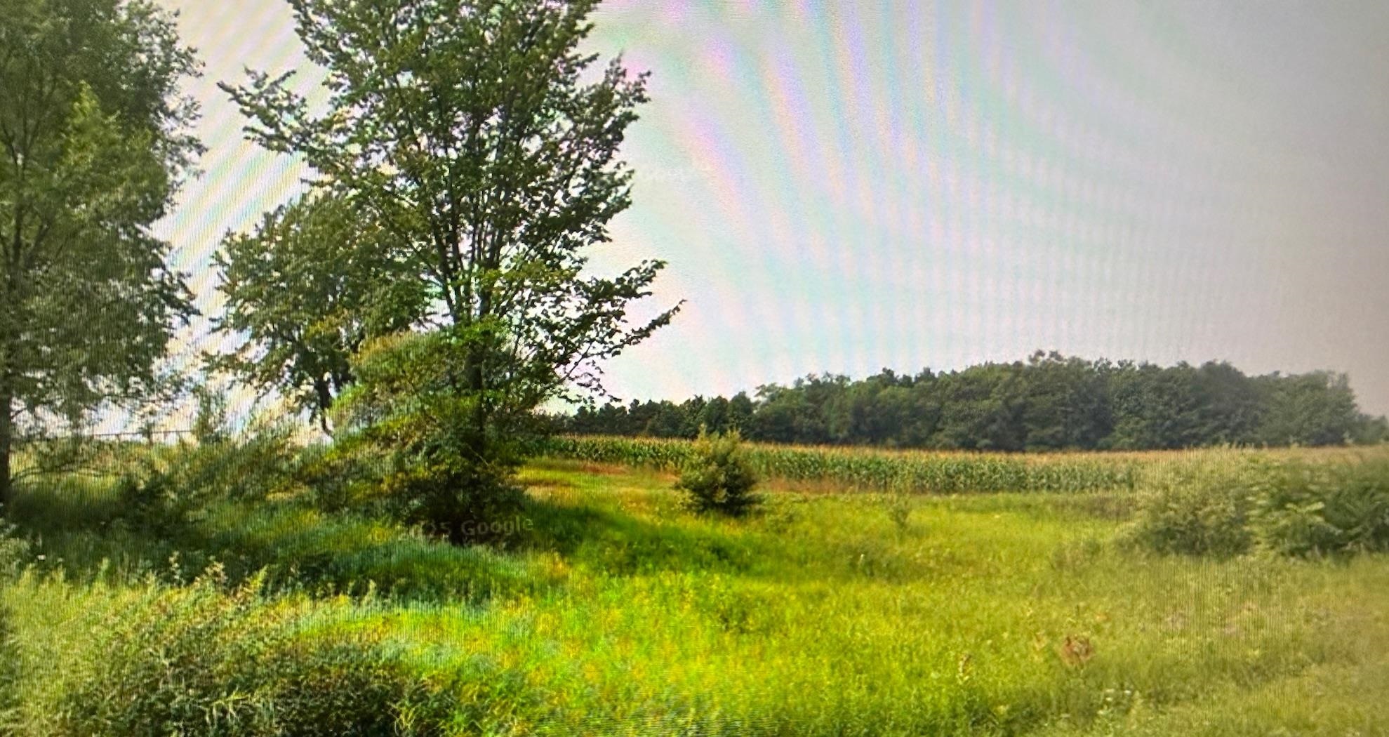1330 Edenhill Road Beulah, MI 49617 - Photo 5 of 7