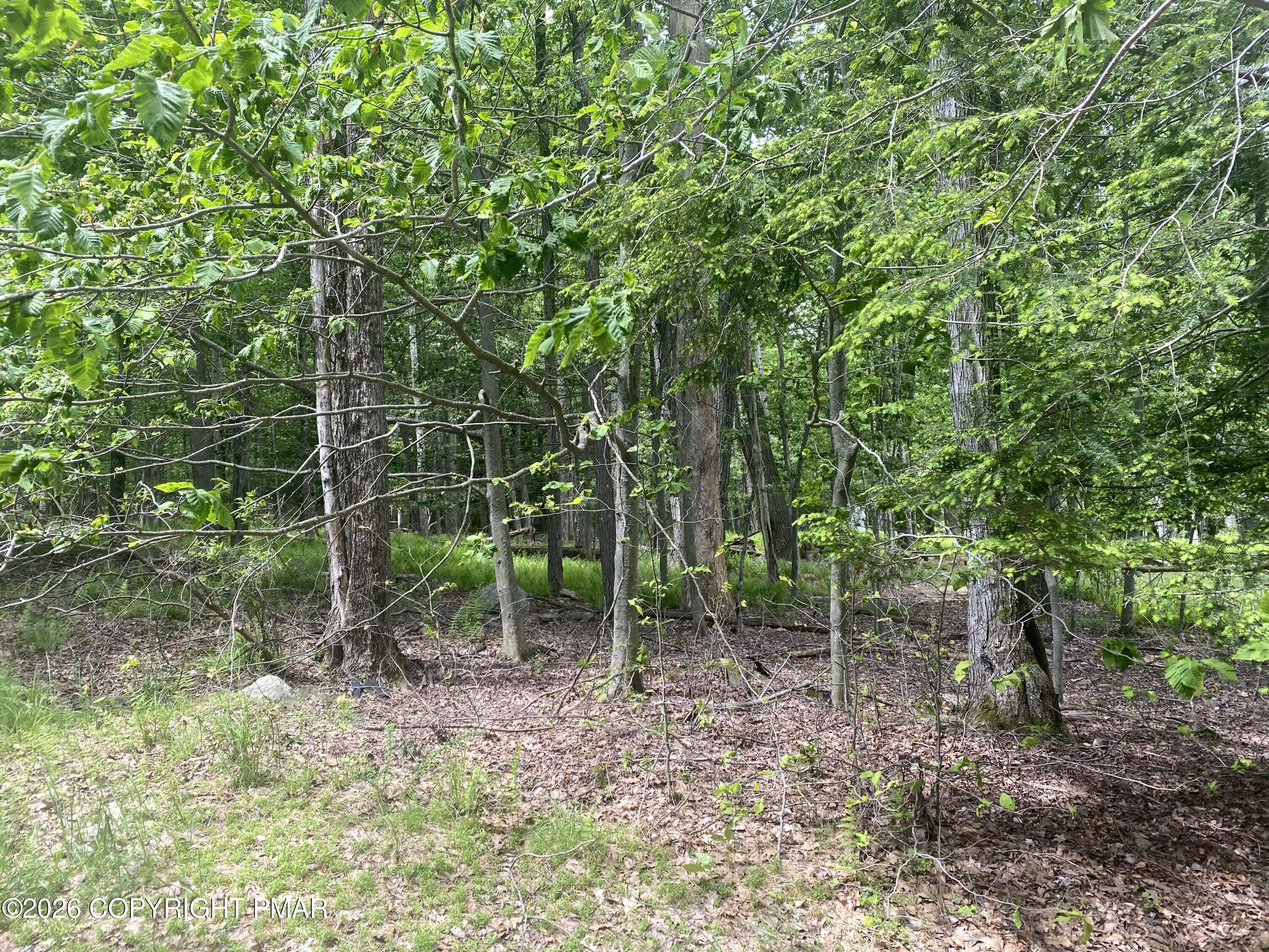 86 Lookout Point Road Canadensis, PA 18325 - Photo 1 of 2 a view of a forest filled with trees