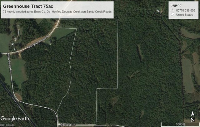 0 Mayfield Road Flovilla, GA 30216 - Photo 2 of 2 Additional Photo