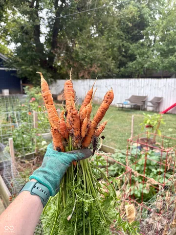 $325,000 | 4225 Guilford Avenue, Indianapolis, IN 46205