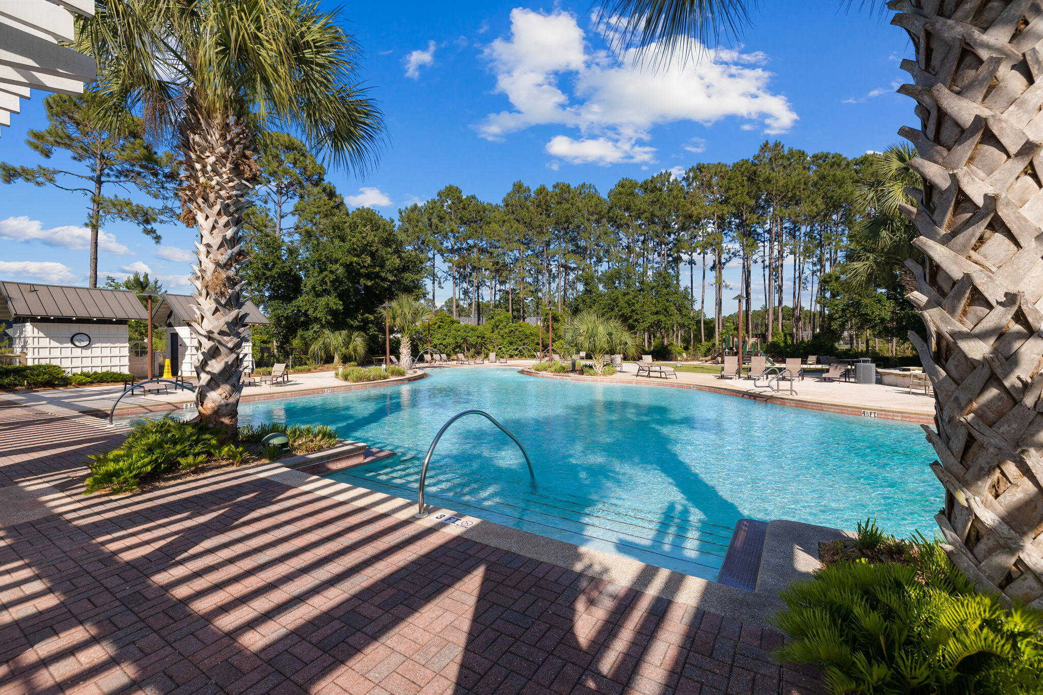 158 Trailhead Drive Inlet Beach, FL 32461 - Photo 32 of 35 a view of a yard with plants and a bench