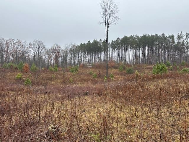 Nhn East Stockwell Road Harrison, MI 48625 - Photo 8 of 8