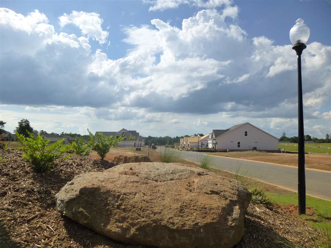 691 Ridgeville Crossing Drive Inman, SC 29349 - Photo 23 of 25