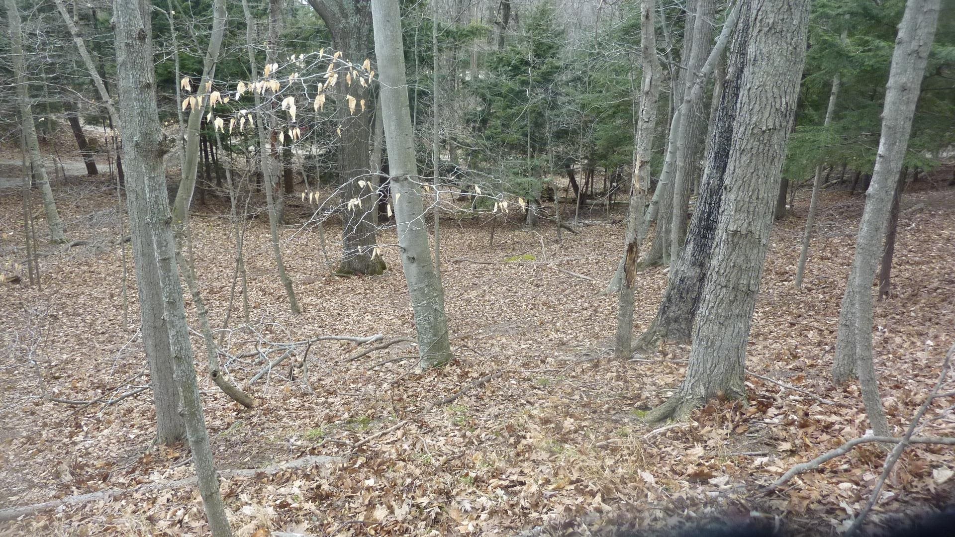 0 Old State Road Frankfort, MI 49635 - Photo 11 of 17