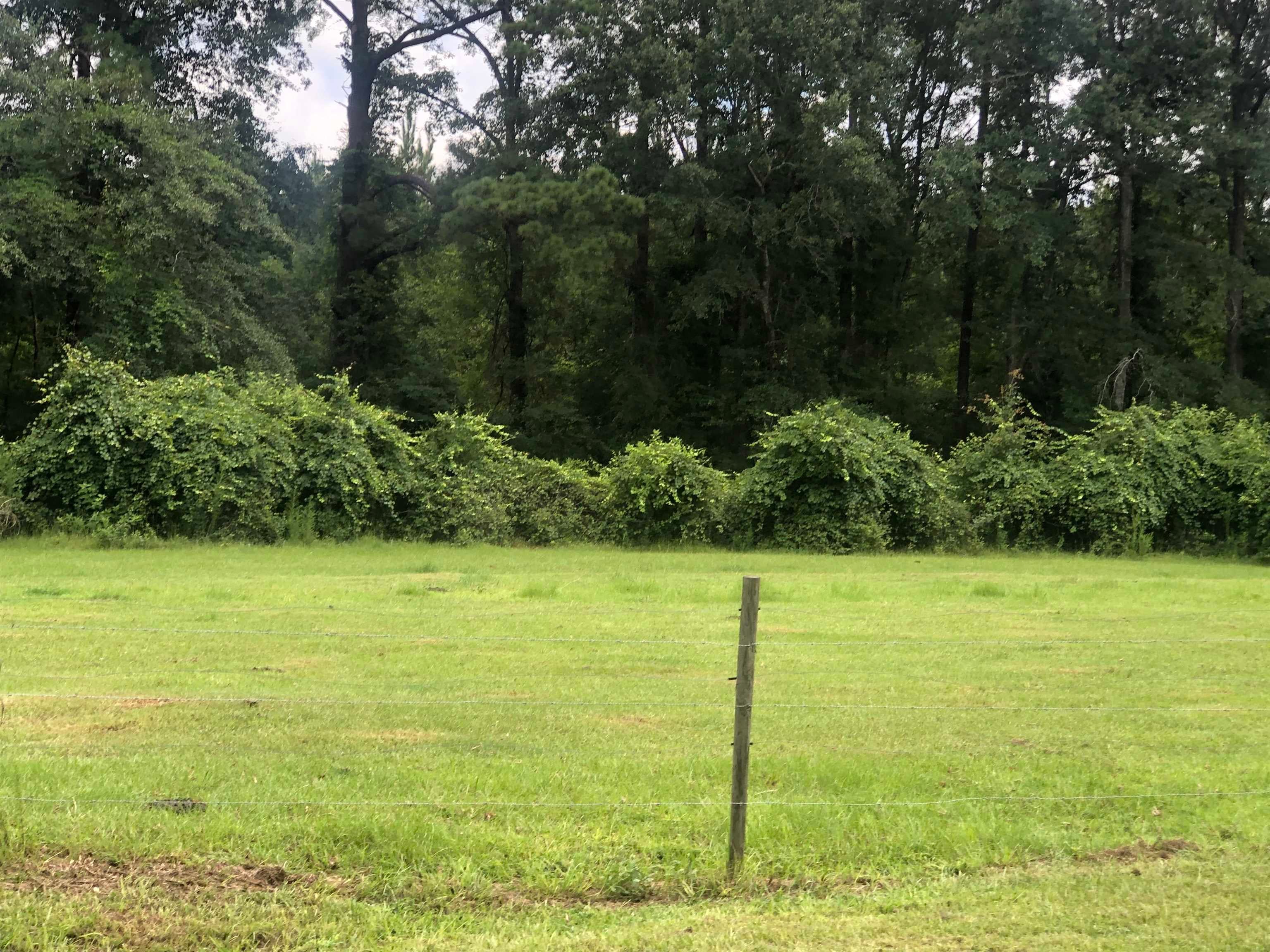 9271 Ivy Creek Road Brantley, AL 36009 - Photo 20 of 29 Gallery Image 20