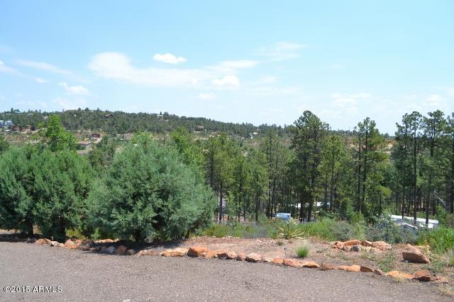 6201 Juniper Ridge Road Linden, AZ 85901 - Photo 3 of 46 DSC_0504 (640x427)