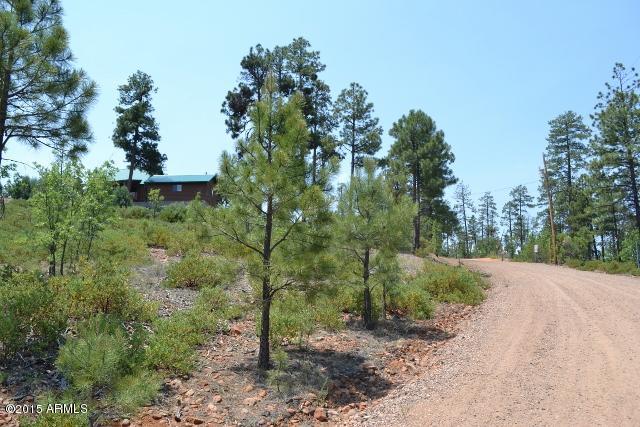 6201 Juniper Ridge Road Linden, AZ 85901 - Photo 4 of 46 DSC_0522 (640x427)