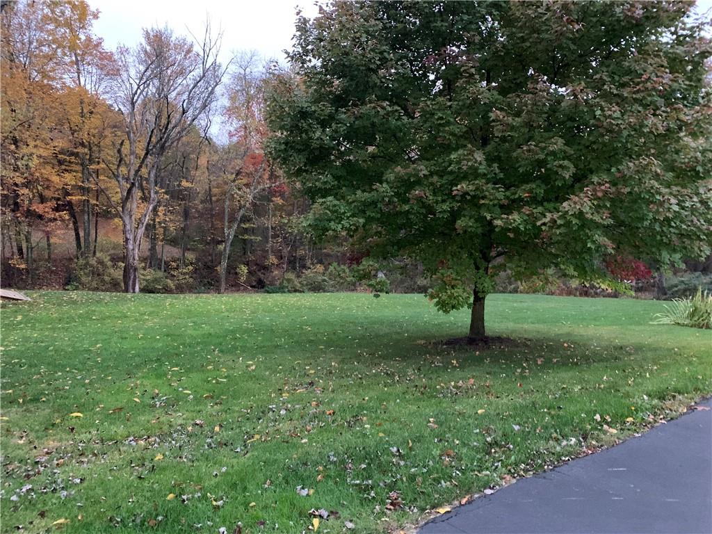 592 Herman Road Butler, PA 16002 - Photo 23 of 24 Driveway view of the back yard.