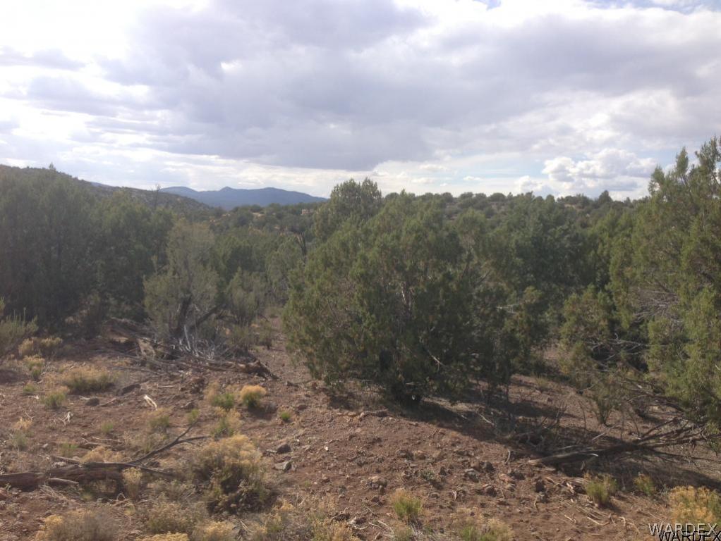 Lot 70 Hawk Run Kingman, AZ 86413 - Photo 2 of 10