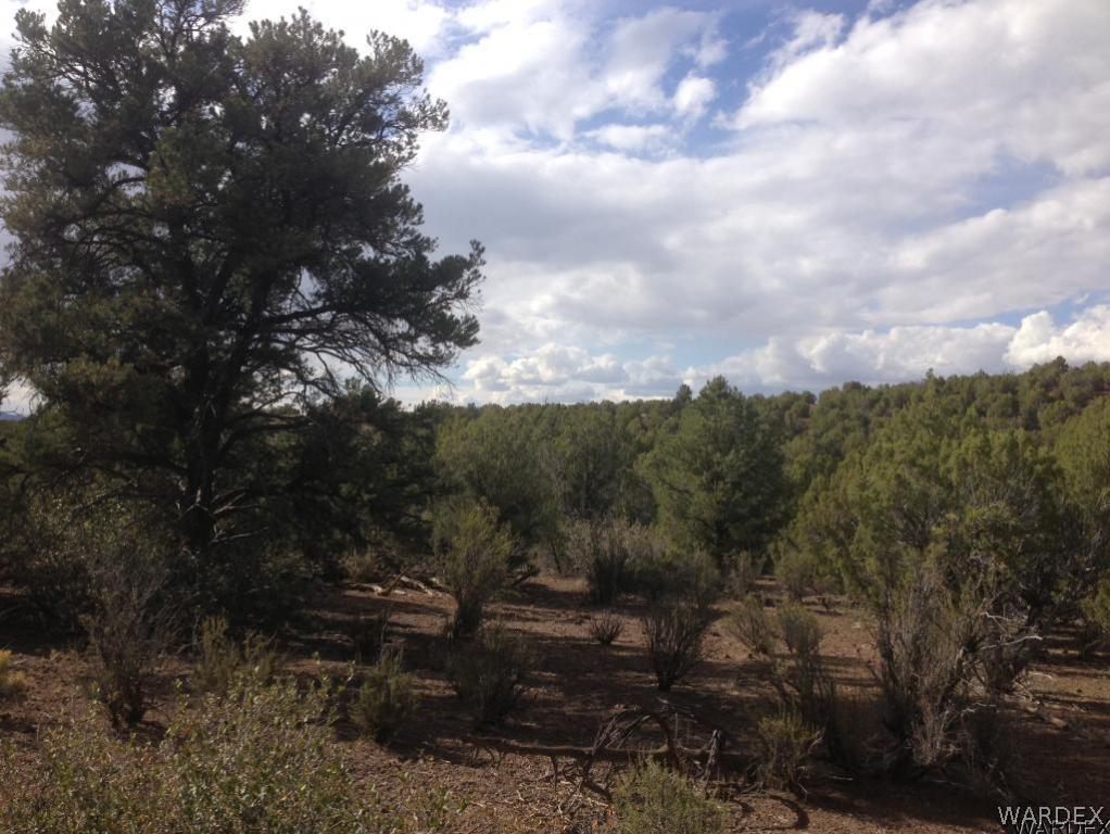 Lot 70 Hawk Run Kingman, AZ 86413 - Photo 3 of 10