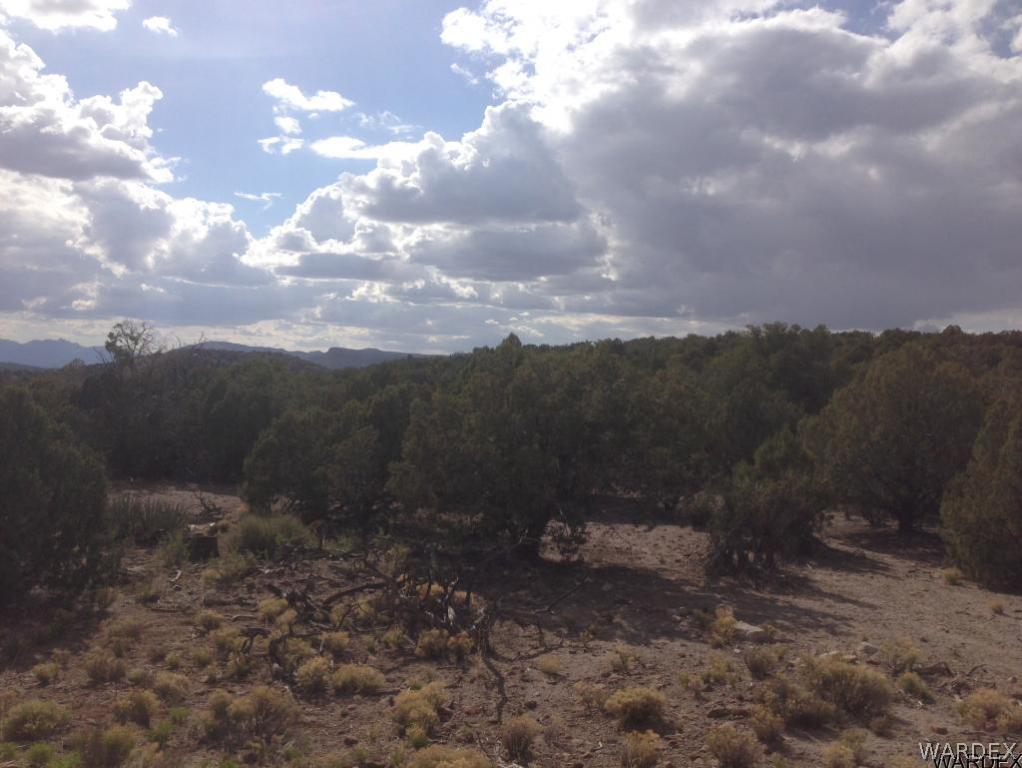 Lot 70 Hawk Run Kingman, AZ 86413 - Photo 4 of 10
