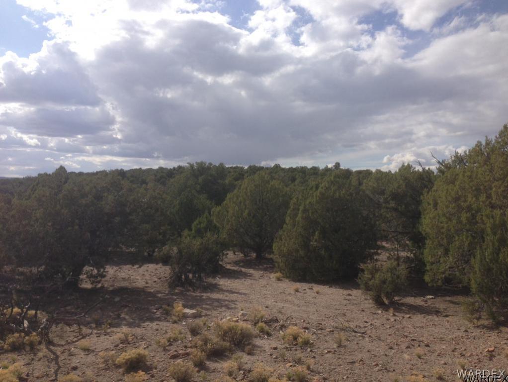 Lot 70 Hawk Run Kingman, AZ 86413 - Photo 5 of 10