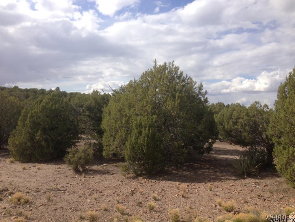 Lot 70 Hawk Run Kingman, AZ 86413 - Photo 7 of 10