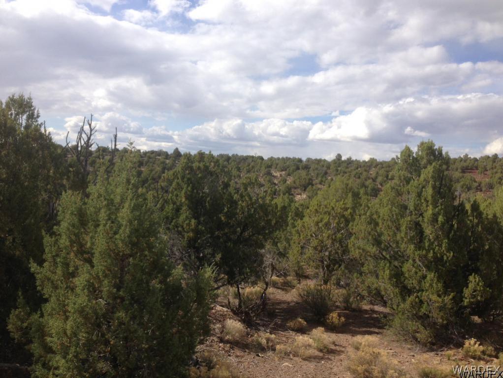Lot 70 Hawk Run Kingman, AZ 86413 - Photo 9 of 10