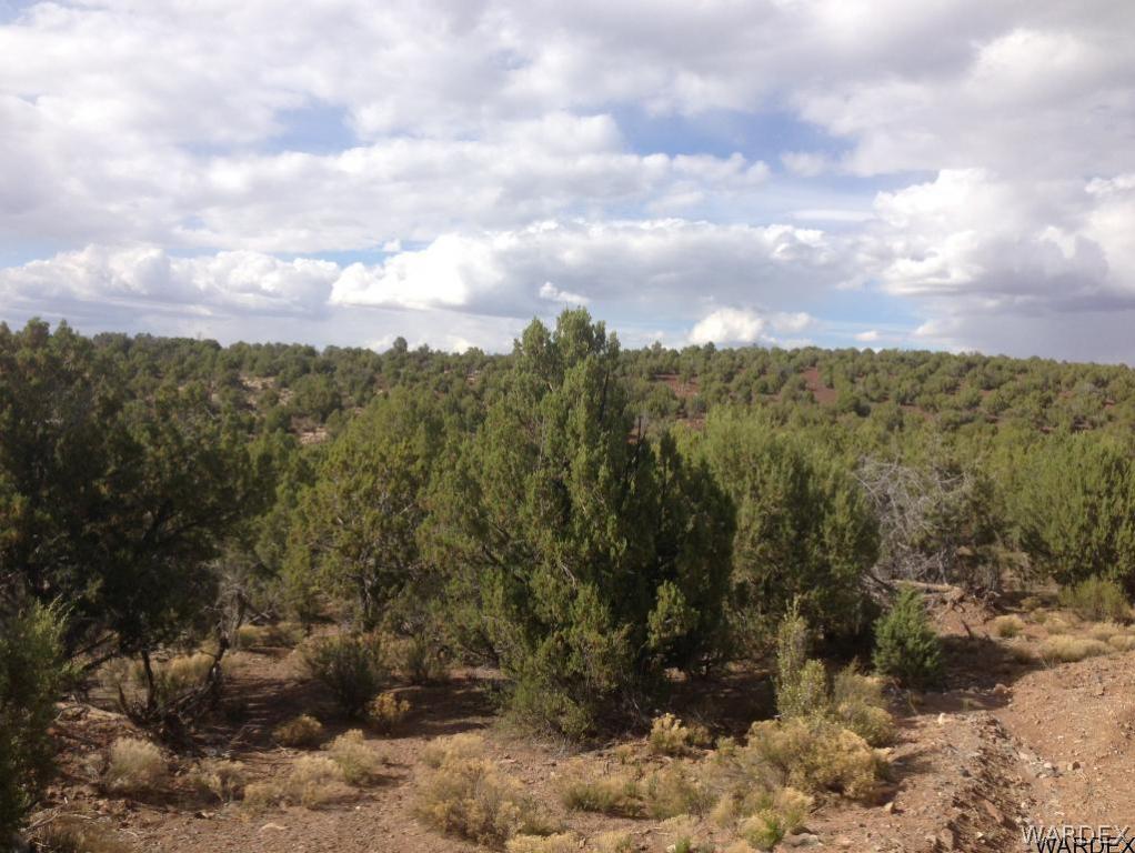 Lot 70 Hawk Run Kingman, AZ 86413 - Photo 10 of 10