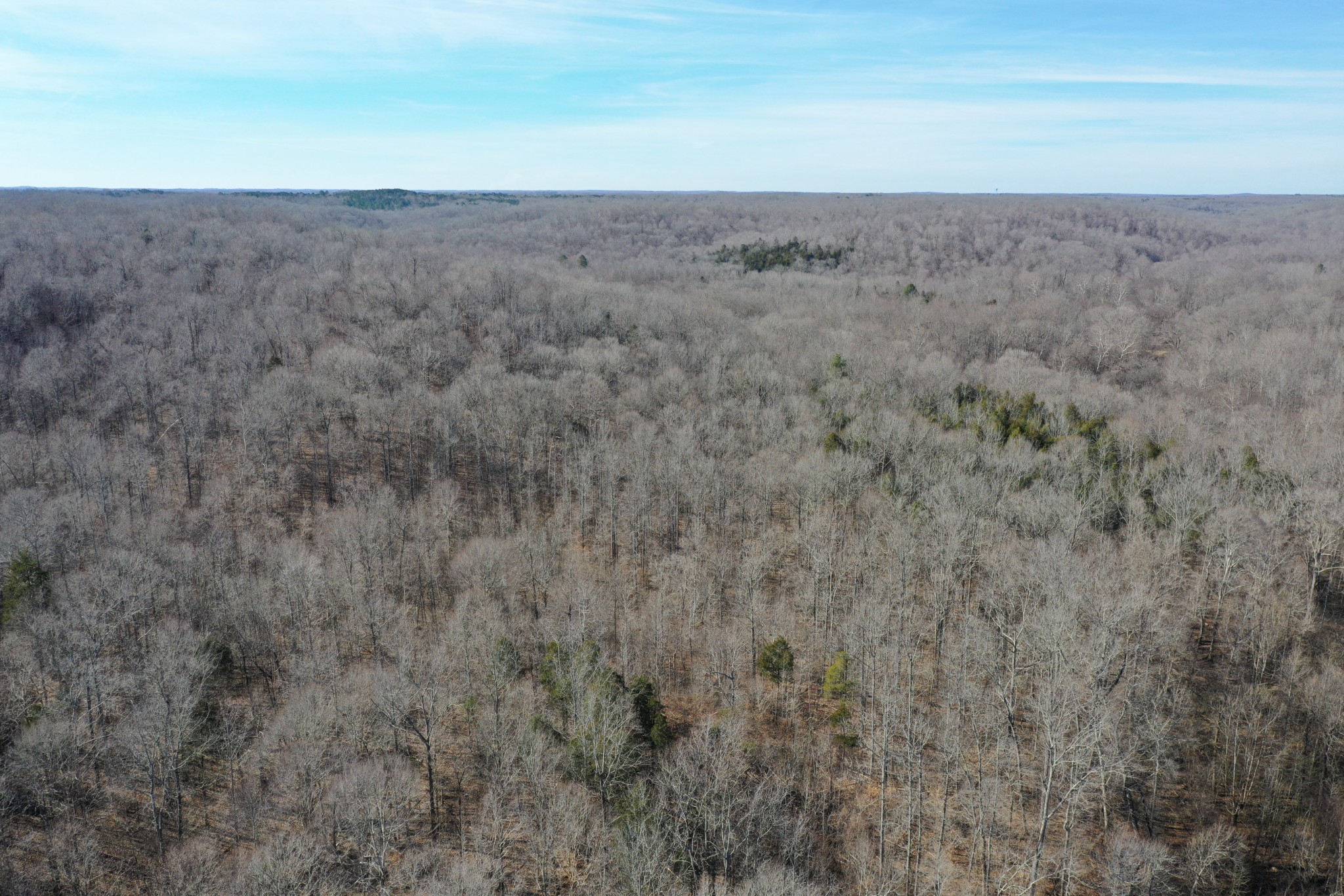 455 River Spring Road Parsons, TN 38363 - Photo 15 of 22 Gallery Image 15