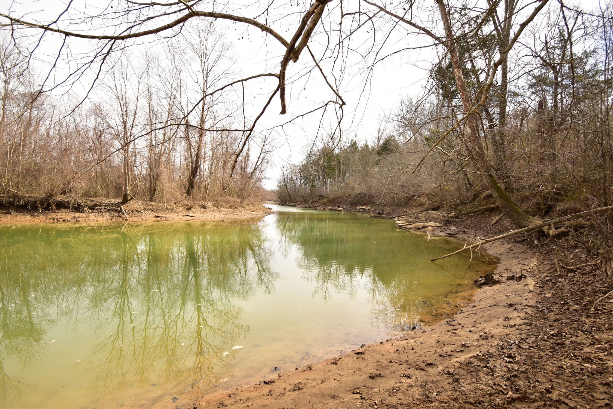 455 River Spring Road Parsons, TN 38363 - Photo 18 of 22 Gallery Image 18