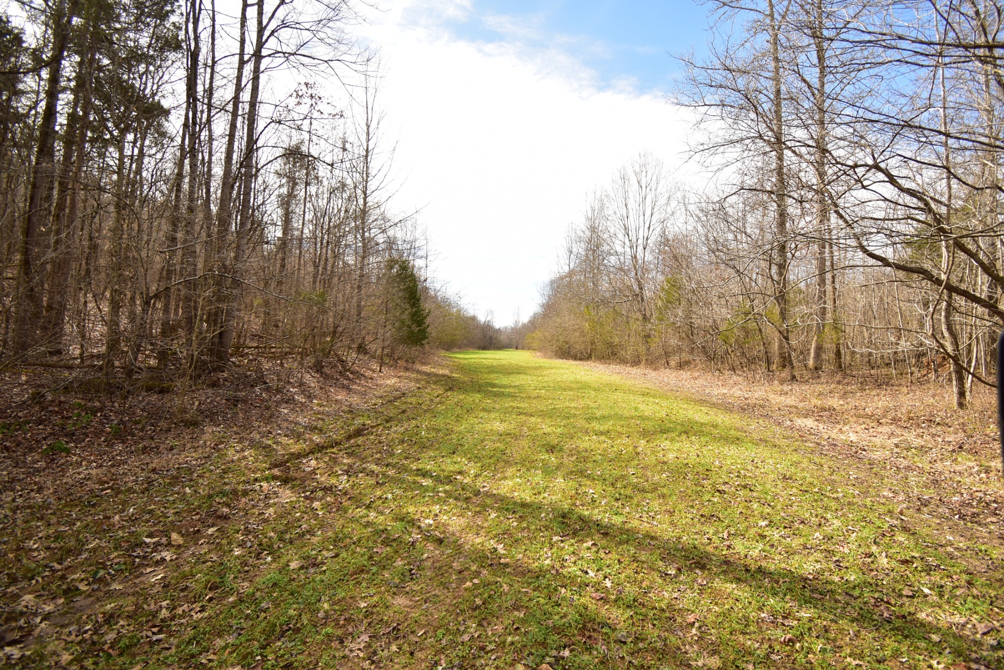 455 River Spring Road Parsons, TN 38363 - Photo 20 of 22 Gallery Image 20
