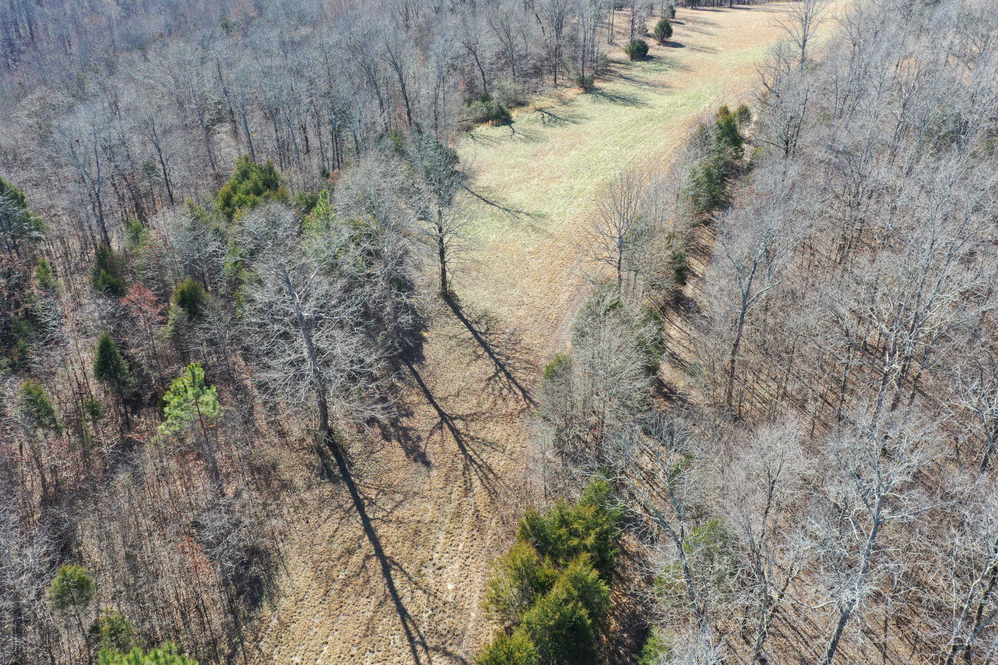 455 River Spring Road Parsons, TN 38363 - Photo 6 of 22 Gallery Image 6