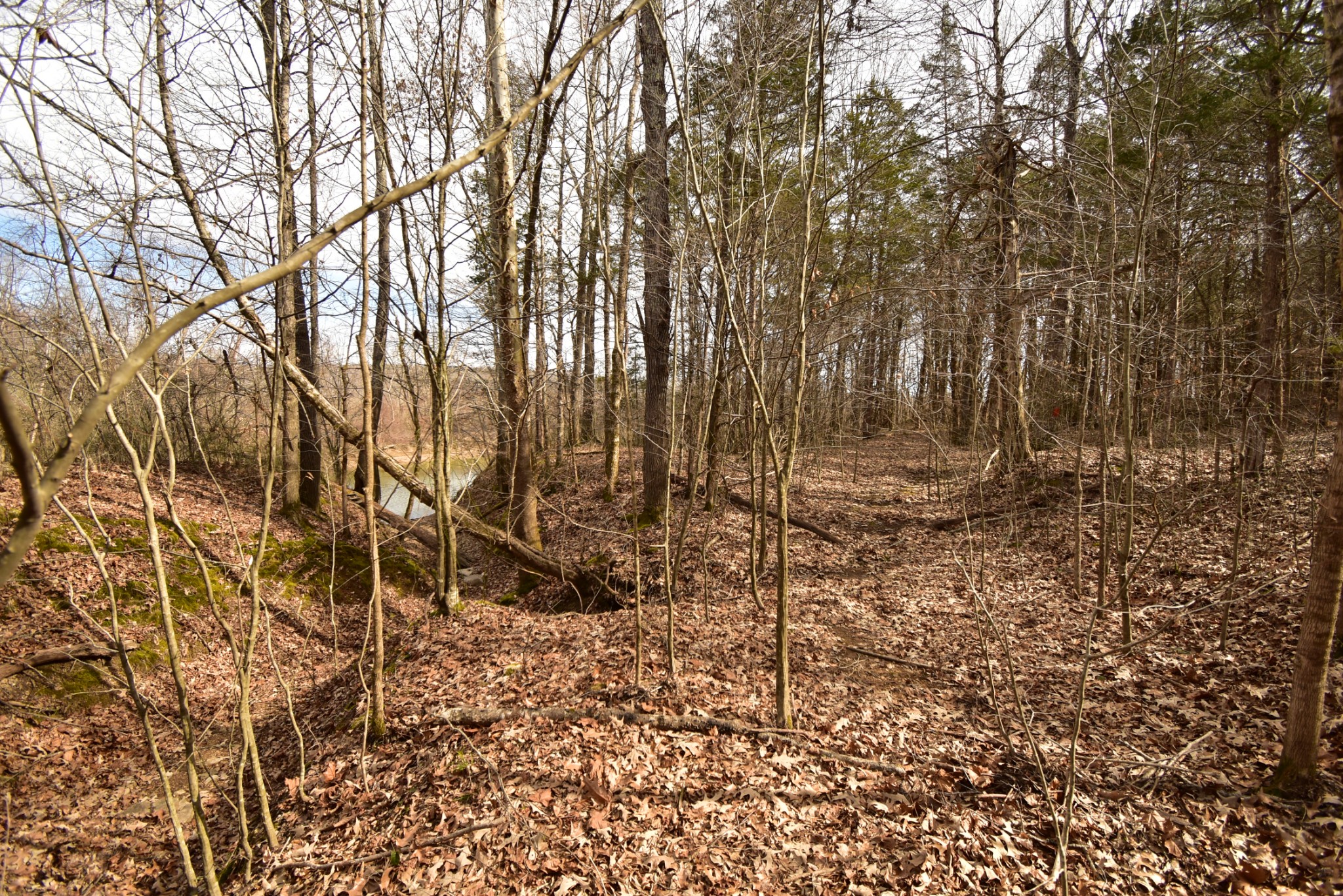 455 River Spring Road Parsons, TN 38363 - Photo 7 of 22 Gallery Image 7