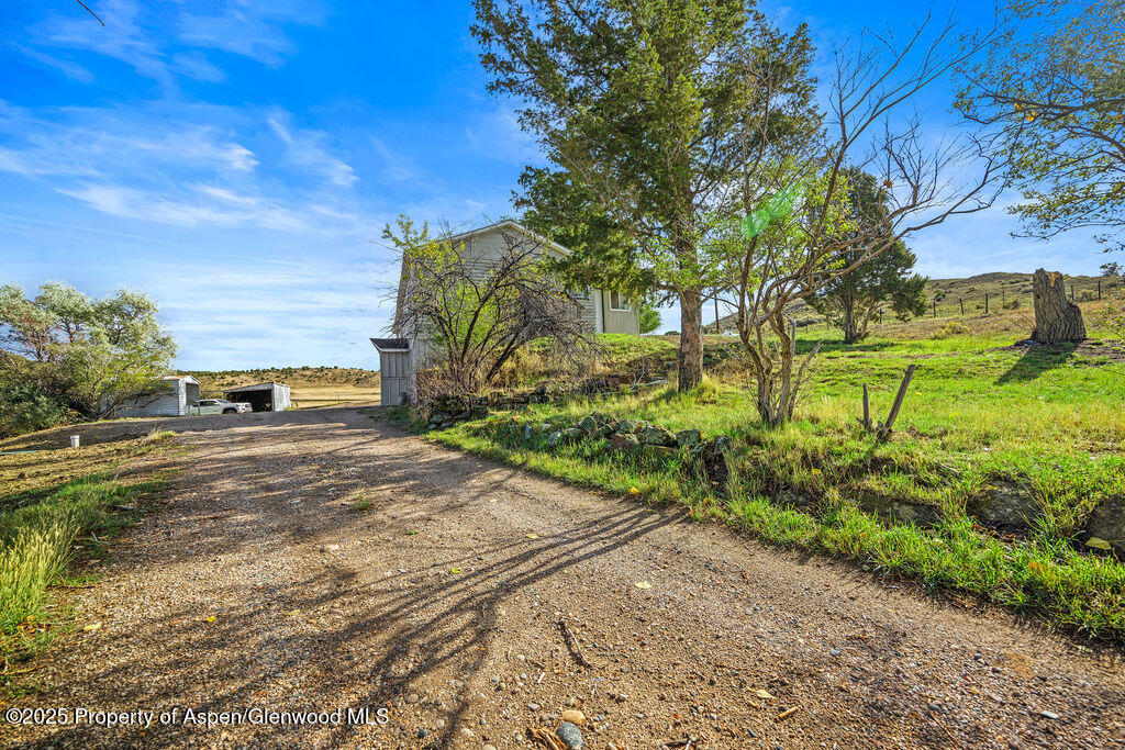 3362 County Road 7 Craig, CO 81625 - Photo 6 of 36 a view of a yard with an trees