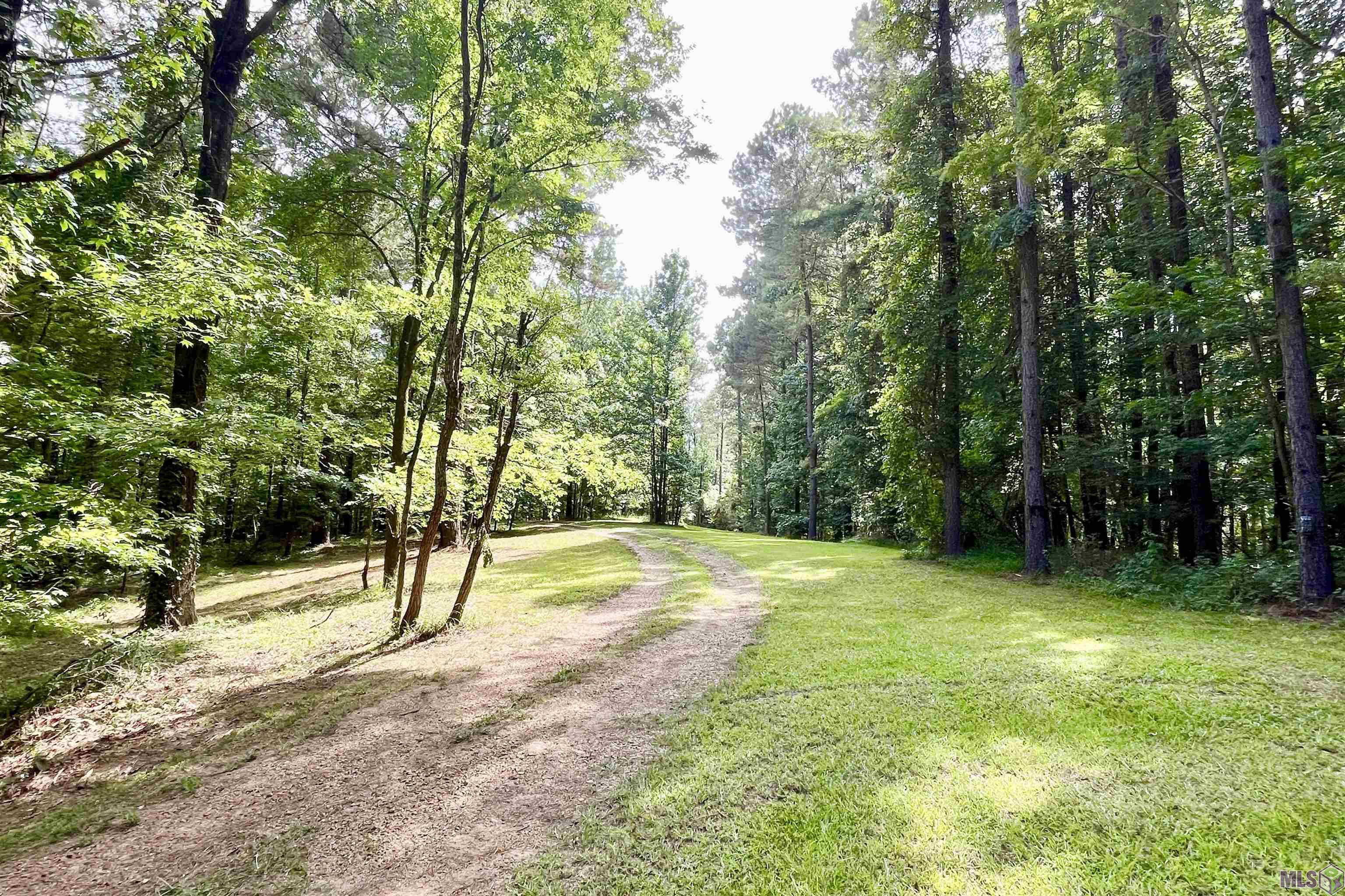 655 Oil Well Road Fayette, MS 39069 - Photo 31 of 58