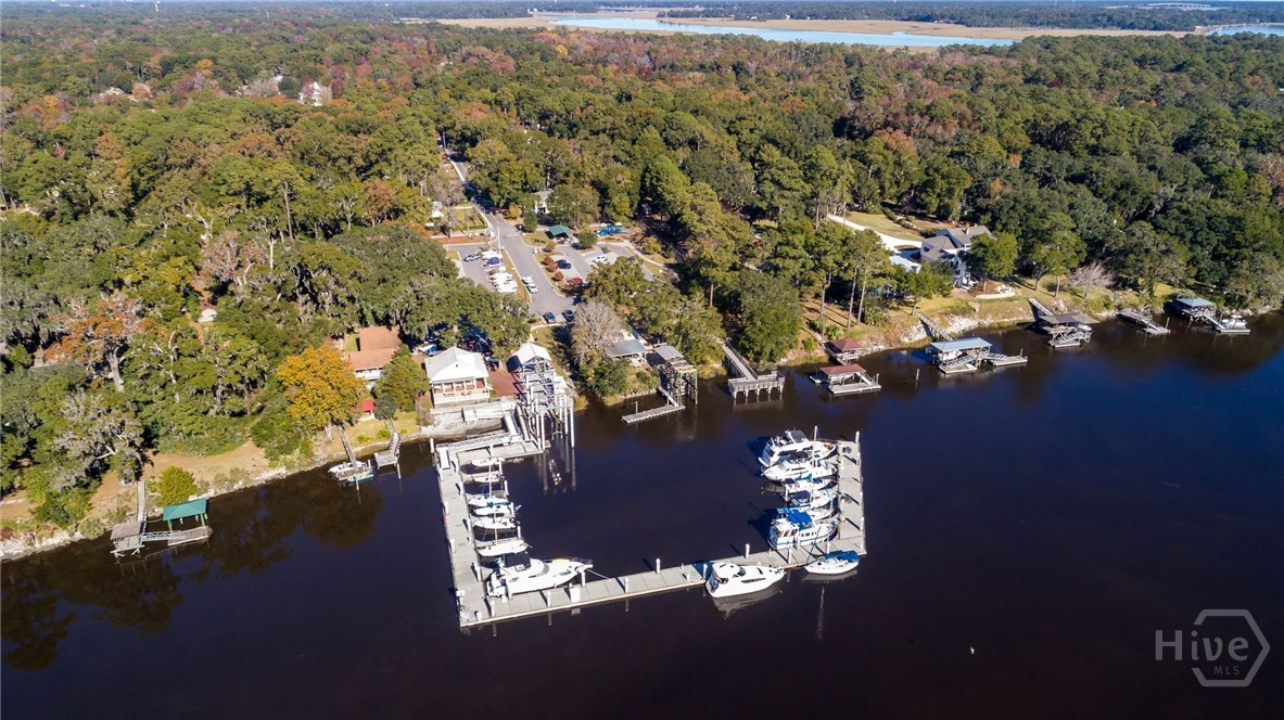 157 Coffee Bluff Villa Road Savannah, GA 31419 - Photo 36 of 37 Gallery Image 36