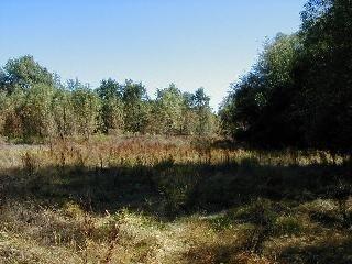 3700 Ross Road Graton, CA 95472 - Photo 5 of 5