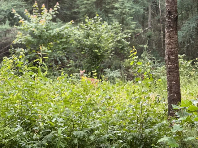 $559,000 | 2594 County Road 8, Barnum, MN 55707