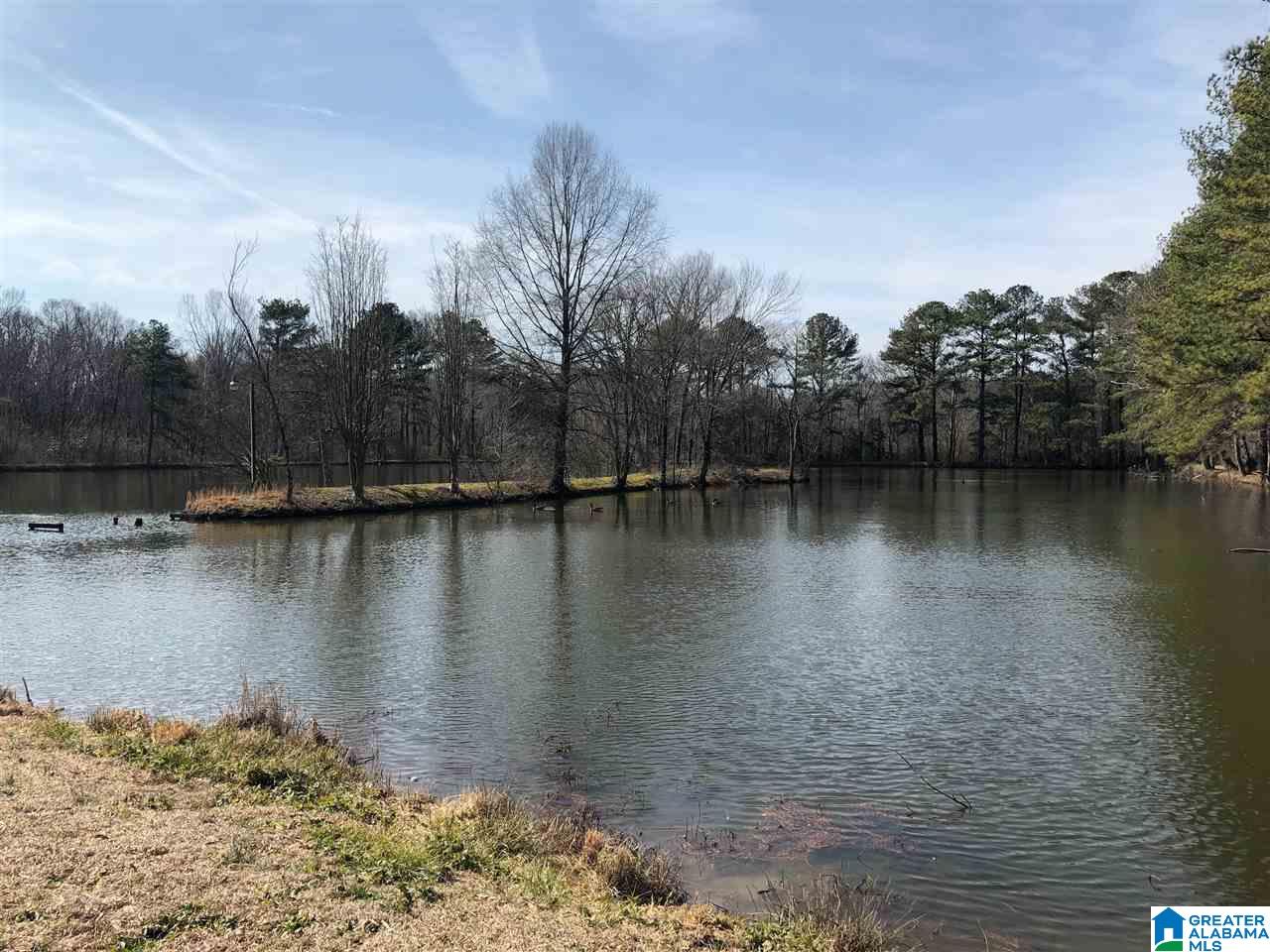 1656 Old Springville Road Birmingham, AL 35215 - Photo 6 of 44