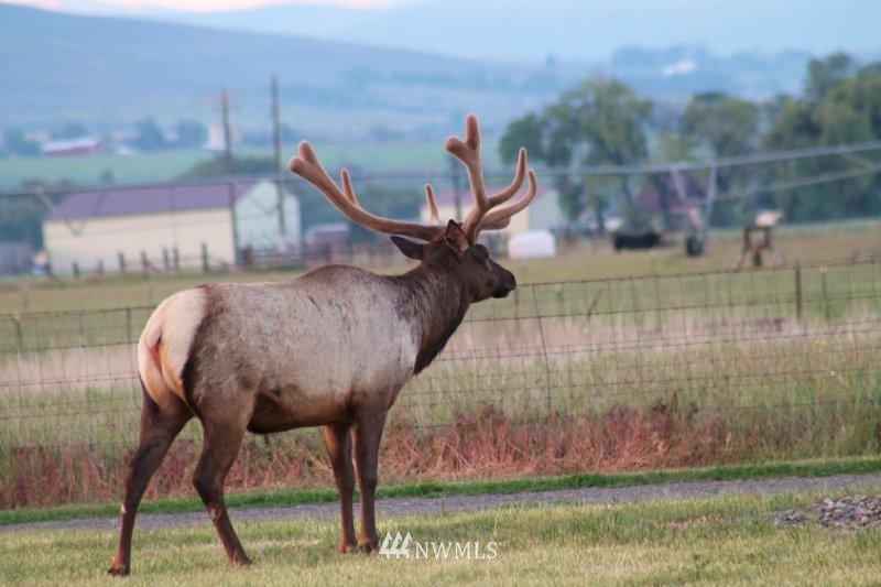 5385 Number 81 Road Ellensburg, WA 98926 - Photo 24 of 25 Gallery Image 24