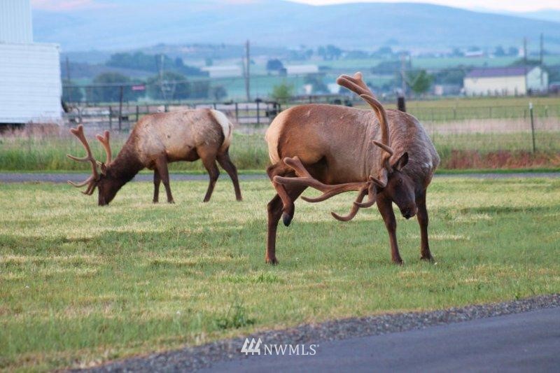 5385 Number 81 Road Ellensburg, WA 98926 - Photo 25 of 25 Gallery Image 25