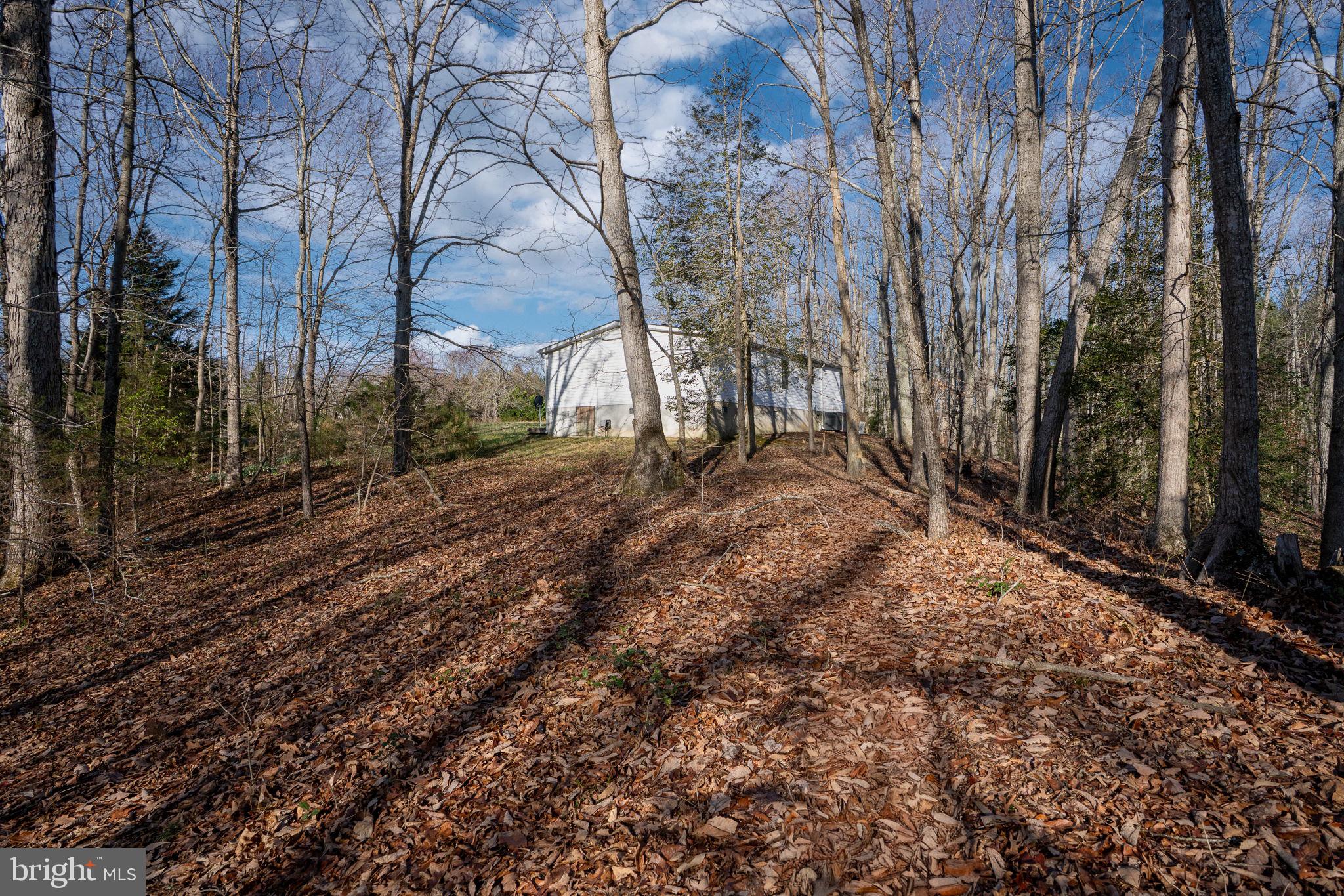 14227 Springfield Lane King George, VA 22485 - Photo 20 of 22 Serene woodland retreat awaits you.