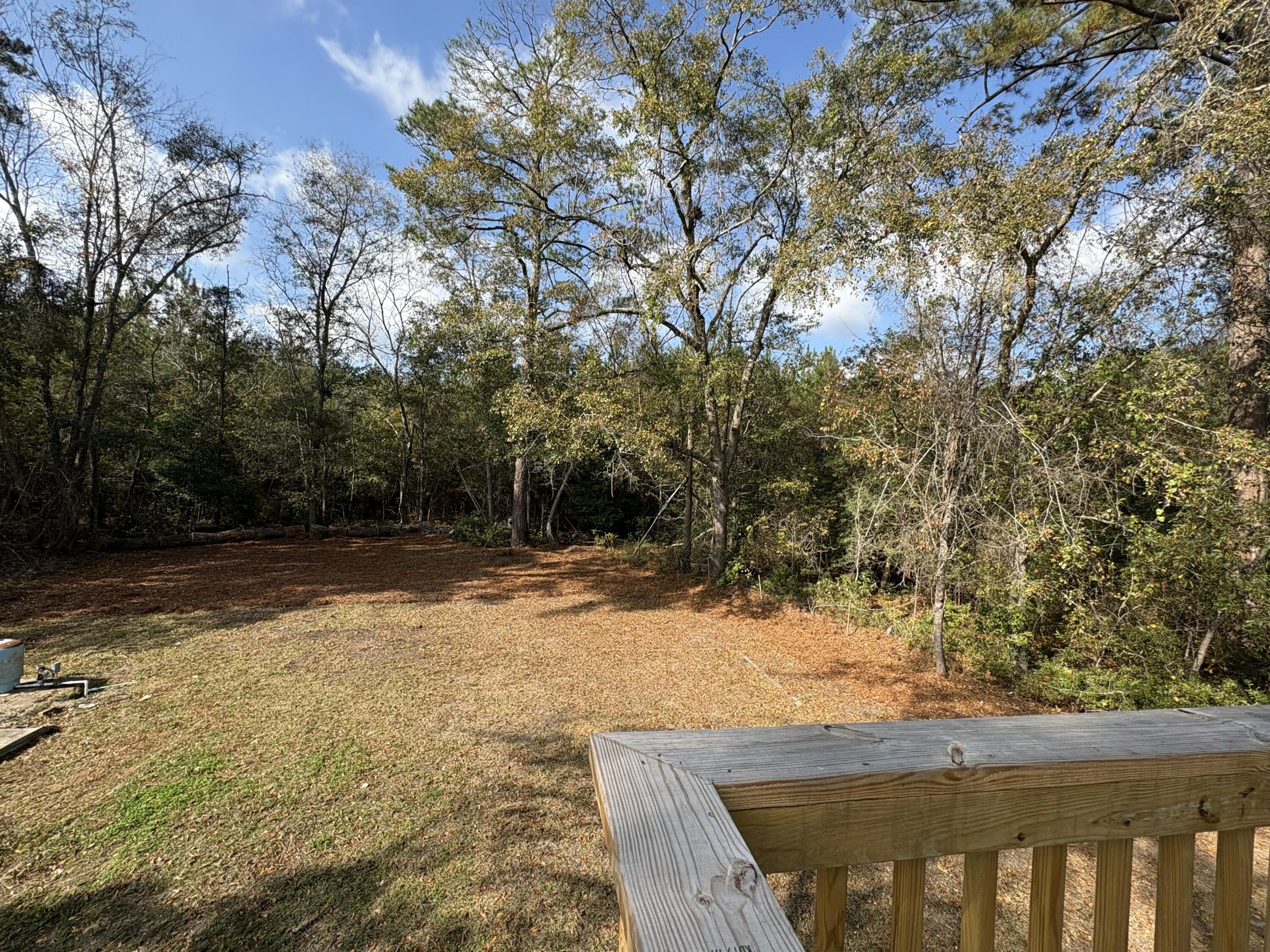 5253 Jefferies Highway Walterboro, SC 29488 - Photo 40 of 44 IMG_8772