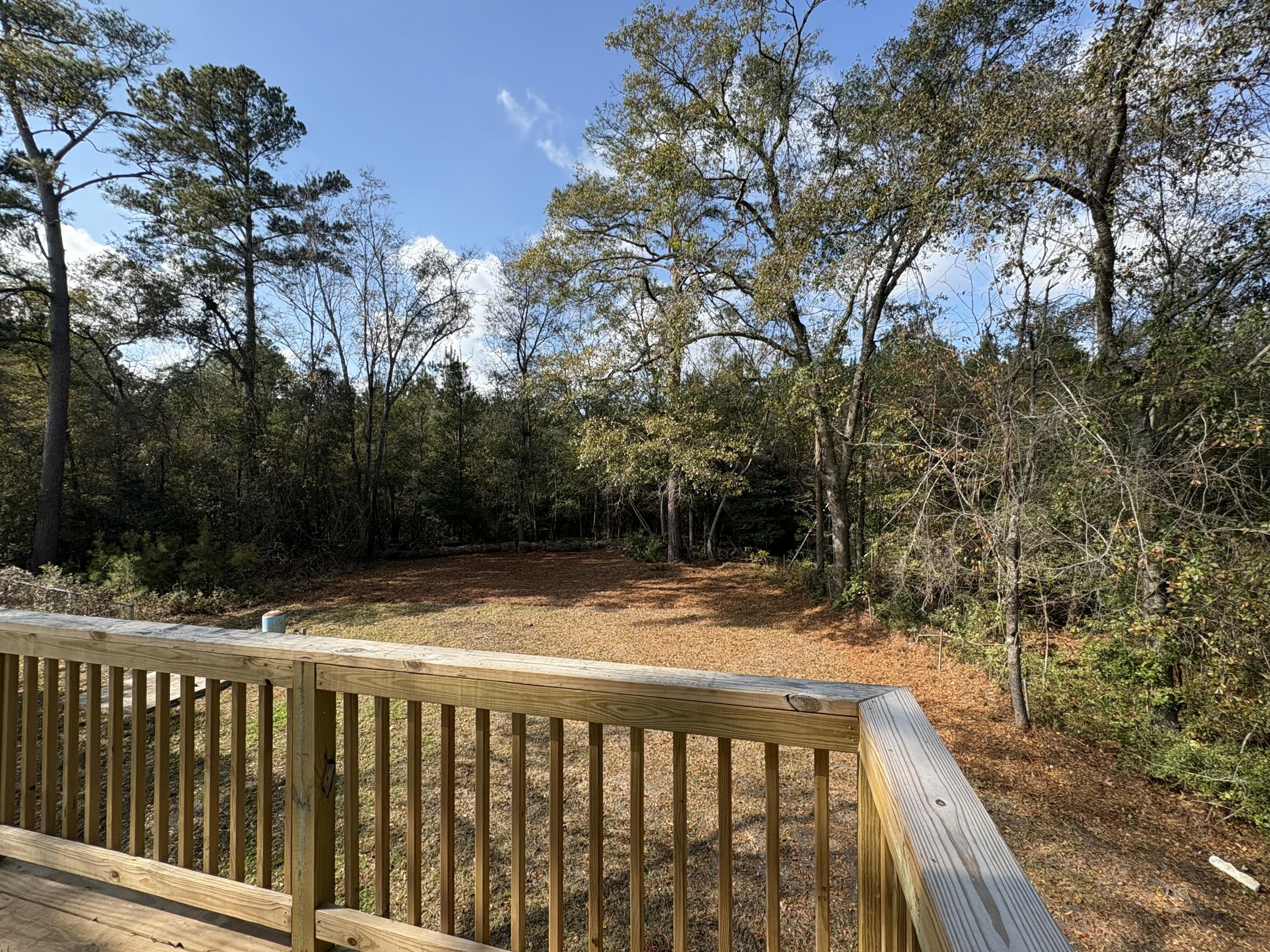 5253 Jefferies Highway Walterboro, SC 29488 - Photo 41 of 44 IMG_8774