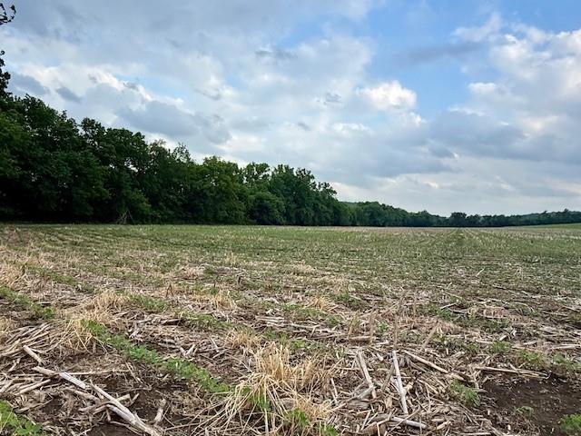 10.72-acres North 800 Road Baldwin City, KS 66006 - Photo 6 of 17