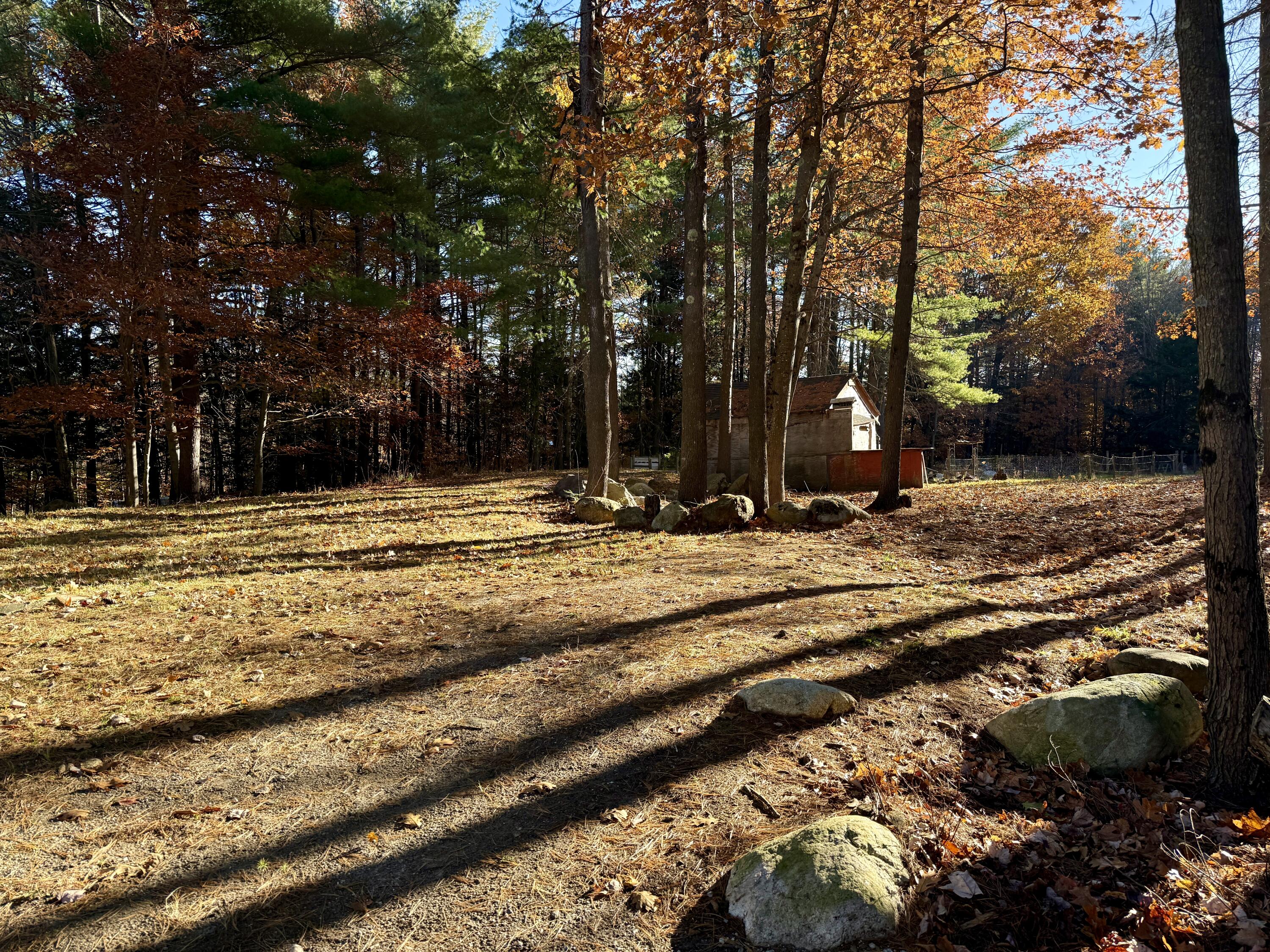 216 Brock School Road Buckfield, ME 04220 - Photo 23 of 27 IMG_0060