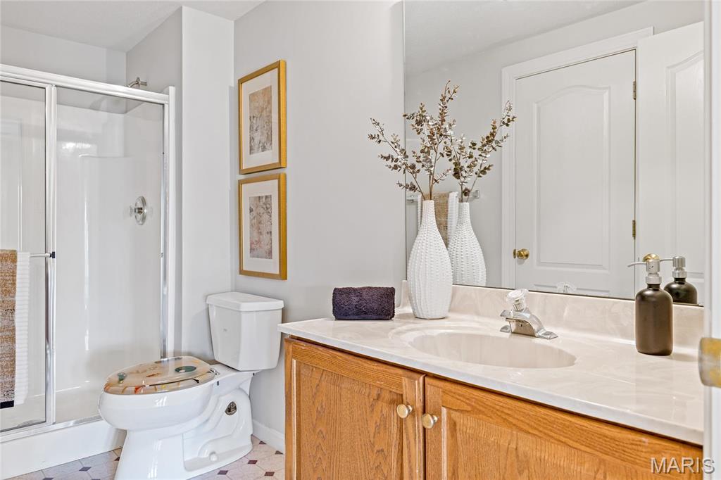 263 Ashdown Forest Weldon Spring, MO 63304 - Photo 61 of 63