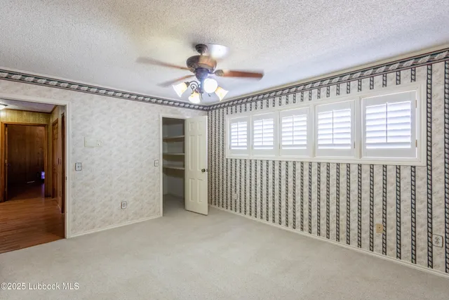 a view of a backyard with large trees and plants