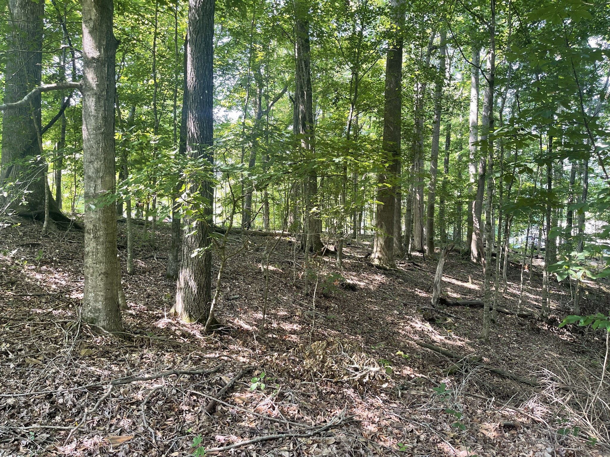 0 Laurel Crown Road Manchester, TN 37355 - Photo 2 of 9