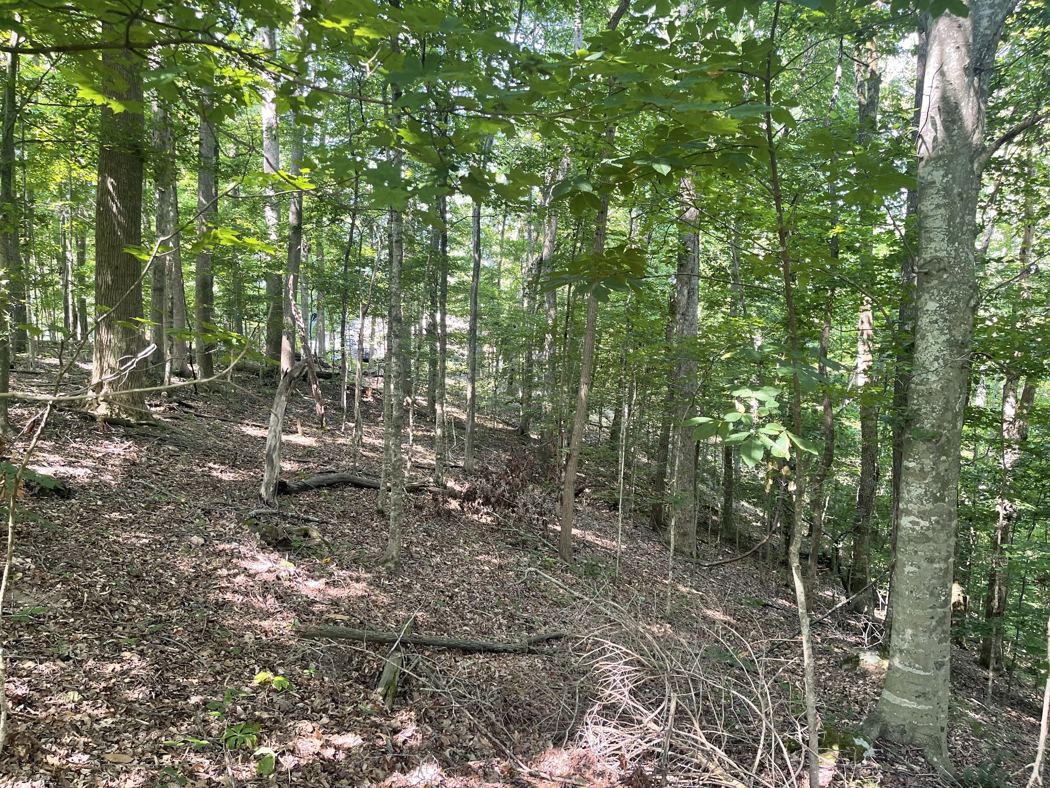 0 Laurel Crown Road Manchester, TN 37355 - Photo 3 of 9