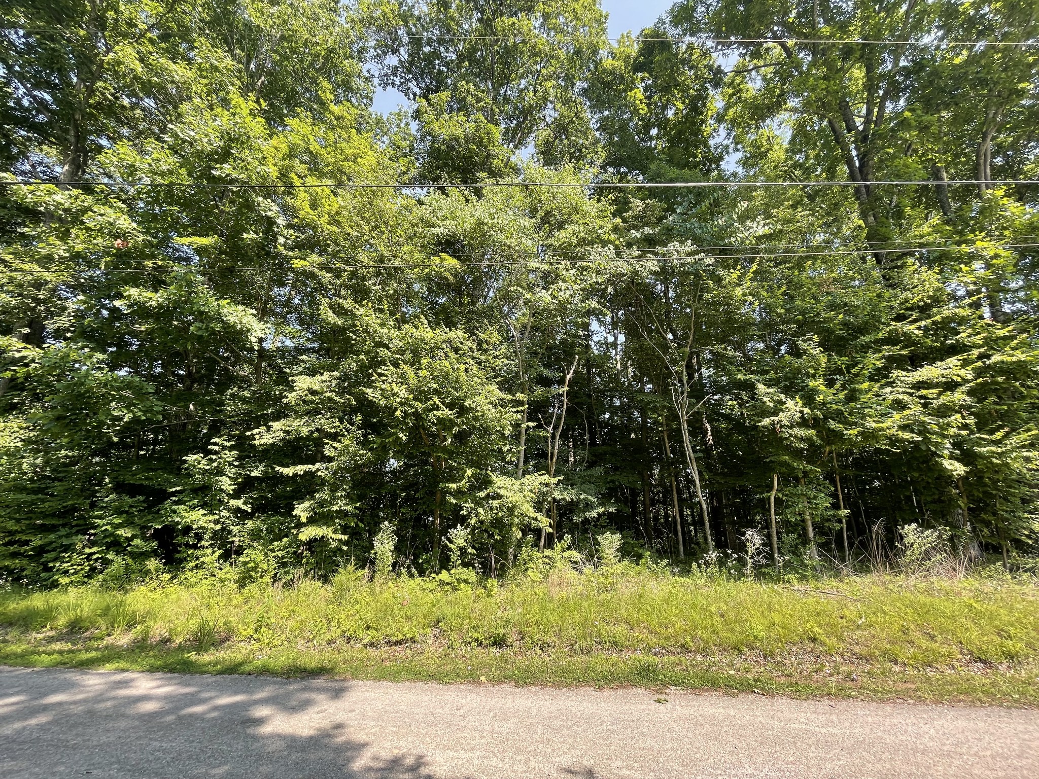 0 Laurel Crown Road Manchester, TN 37355 - Photo 7 of 9