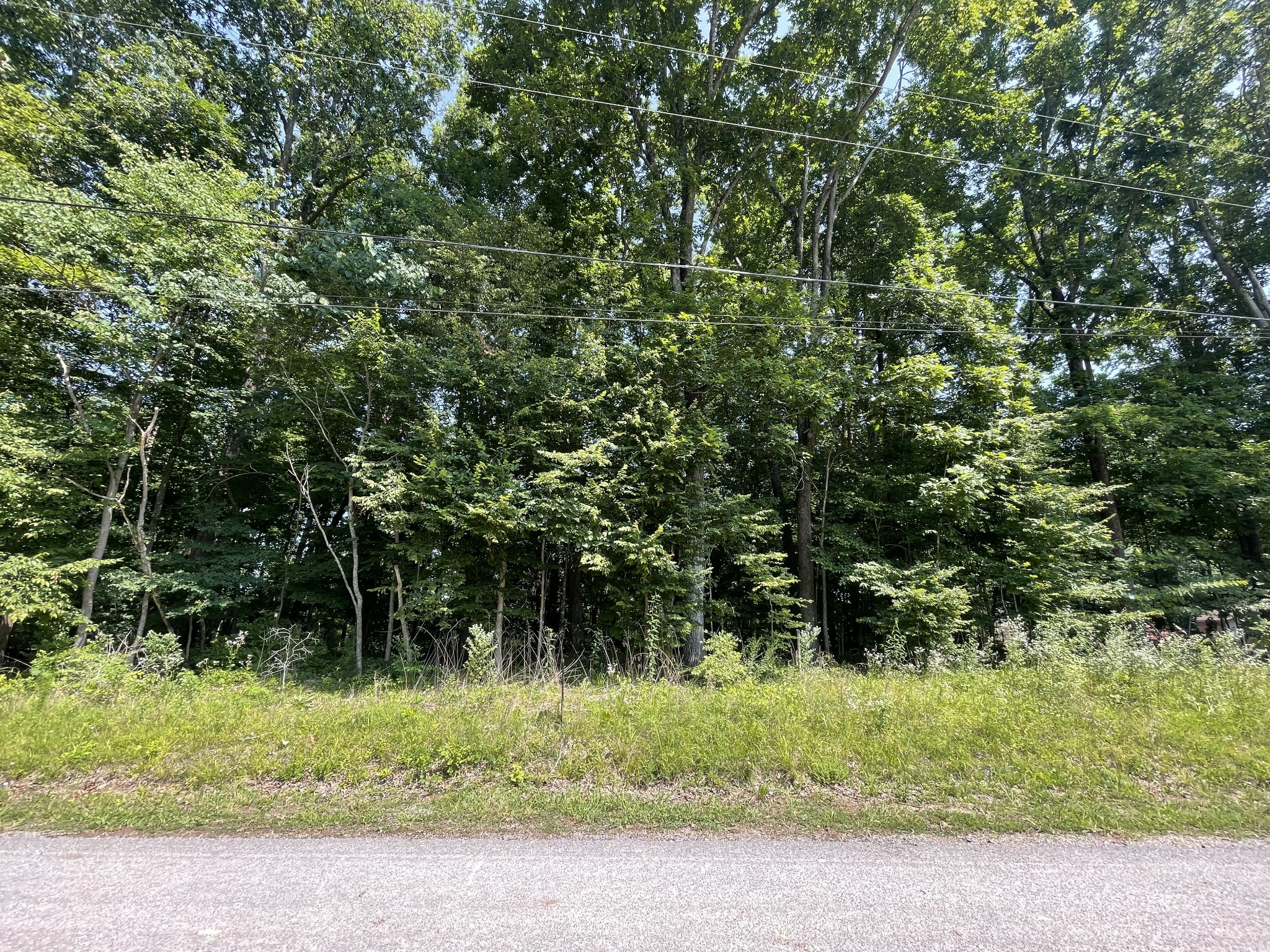 0 Laurel Crown Road Manchester, TN 37355 - Photo 8 of 9