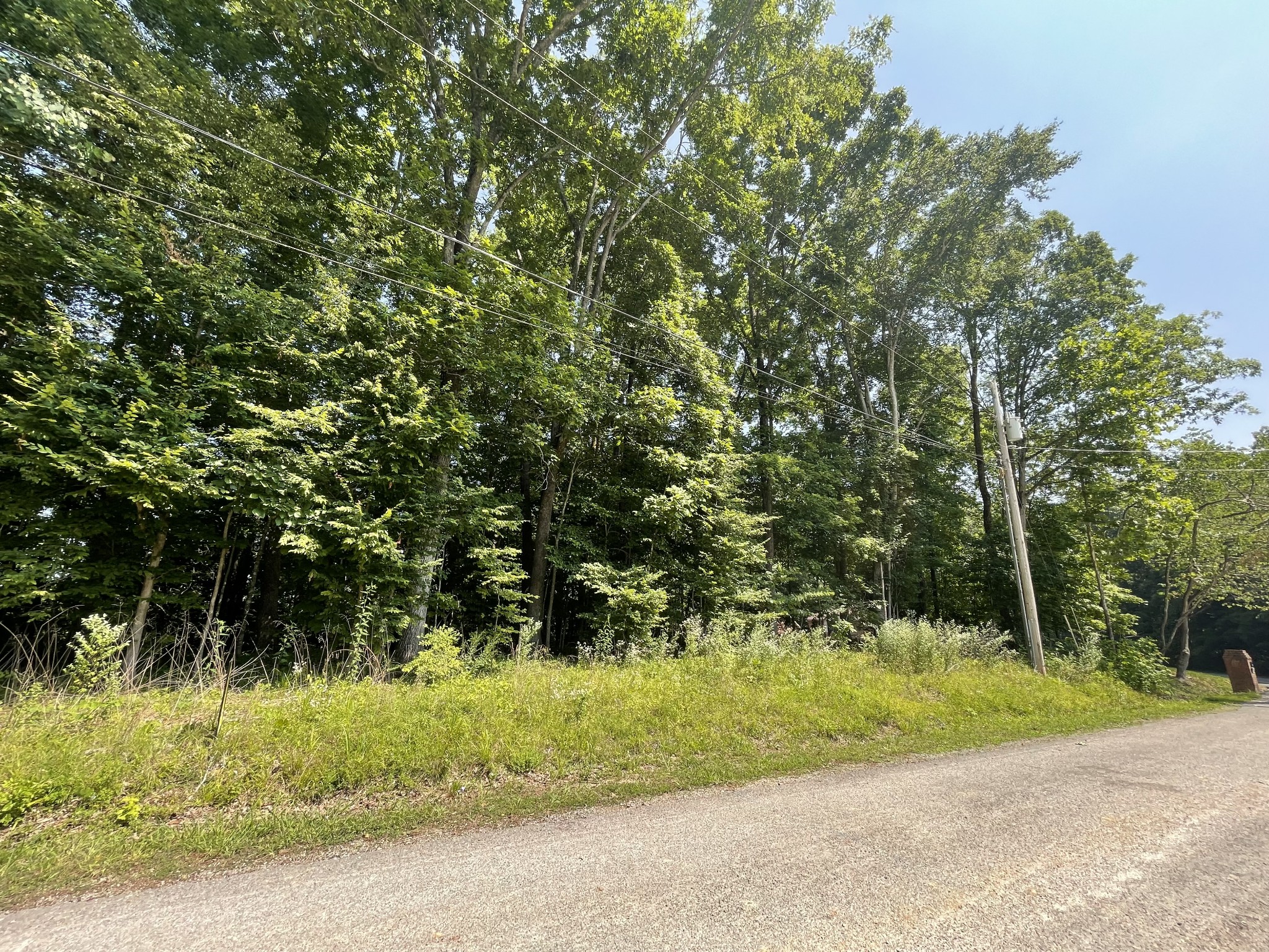 0 Laurel Crown Road Manchester, TN 37355 - Photo 9 of 9