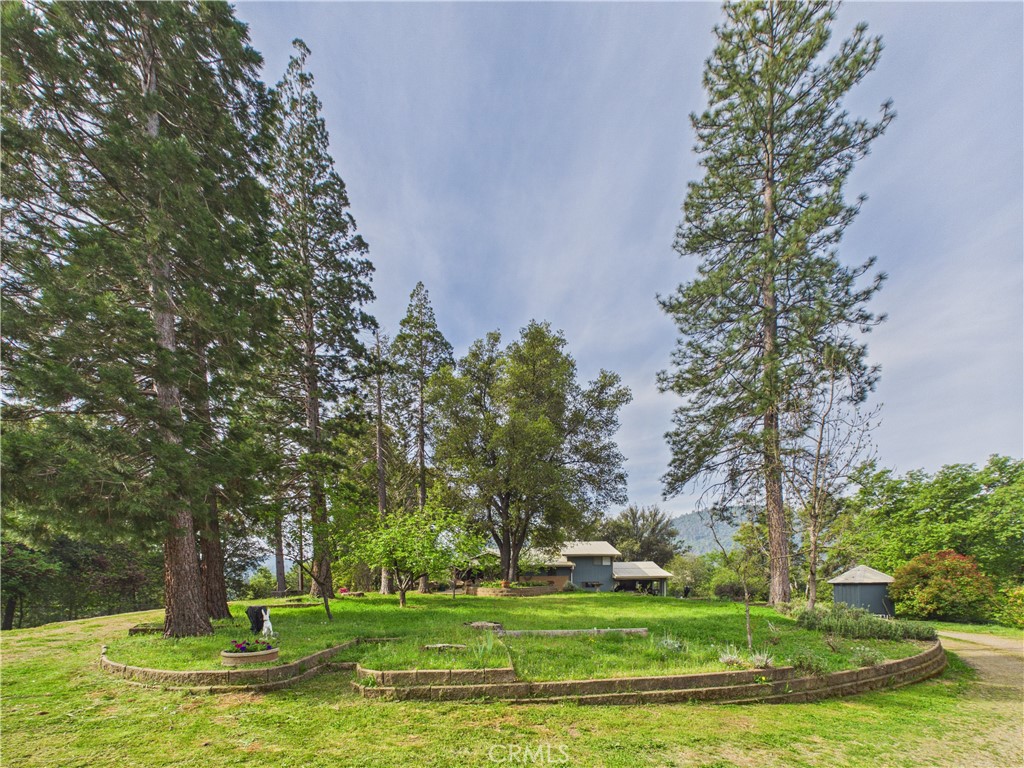6650 Feliciana Mountain Road Midpines, CA 95345 - Photo 45 of 57 a view of a fountain in a yard with trees