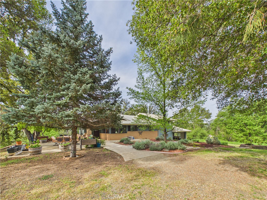 6650 Feliciana Mountain Road Midpines, CA 95345 - Photo 46 of 57