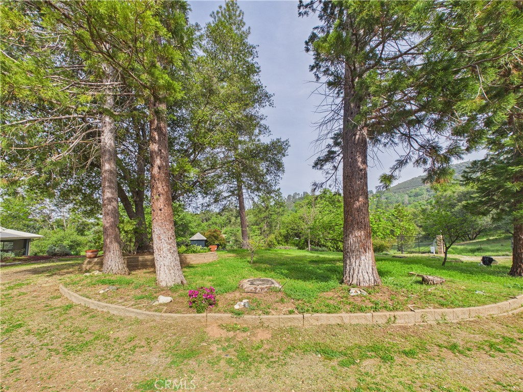 6650 Feliciana Mountain Road Midpines, CA 95345 - Photo 47 of 57