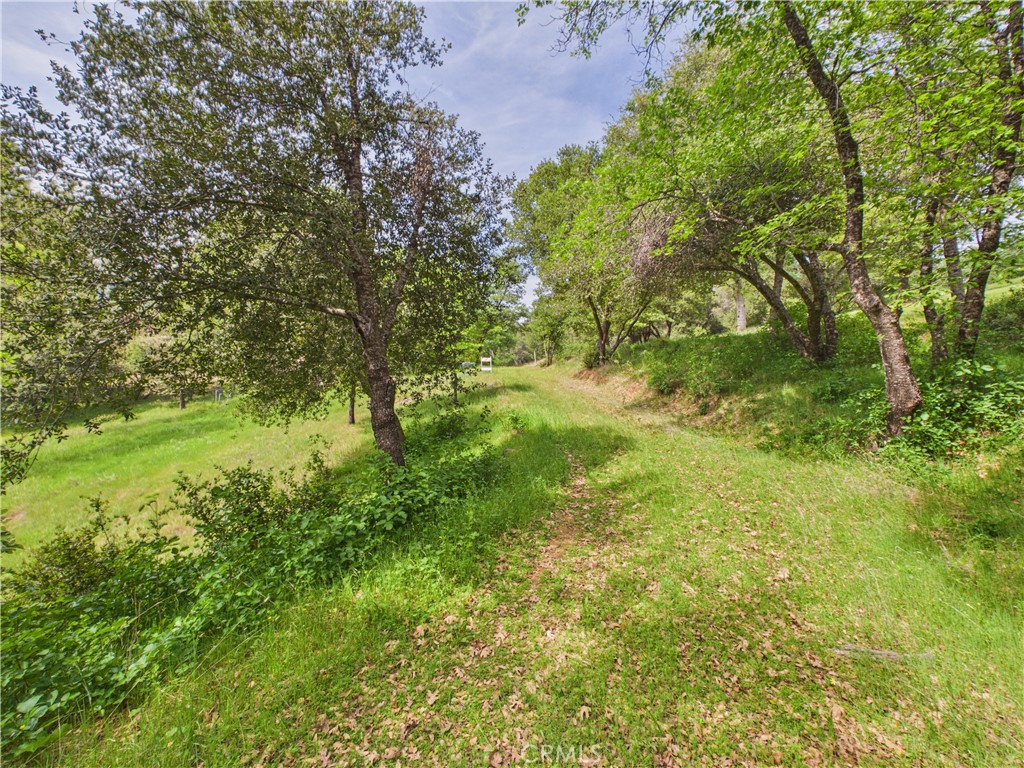 6650 Feliciana Mountain Road Midpines, CA 95345 - Photo 56 of 57